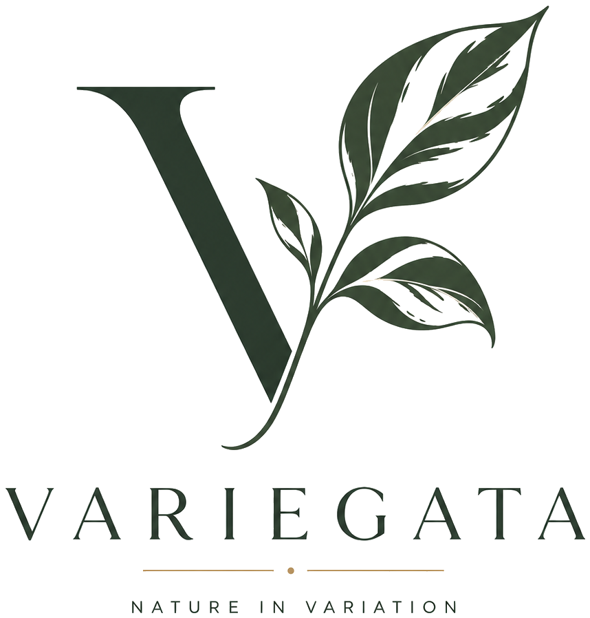 Variegata